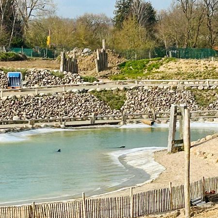 Kuestenbude Robbe Grömitz Dış mekan fotoğraf