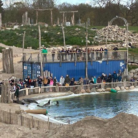 Kuestenbude Robbe Grömitz Dış mekan fotoğraf